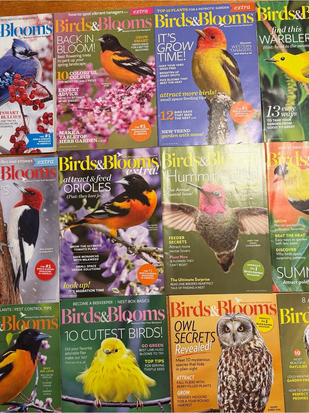 Lot of 12 Birds and Blooms Magazine  Issues 2016, 2017, 2019 & 2023